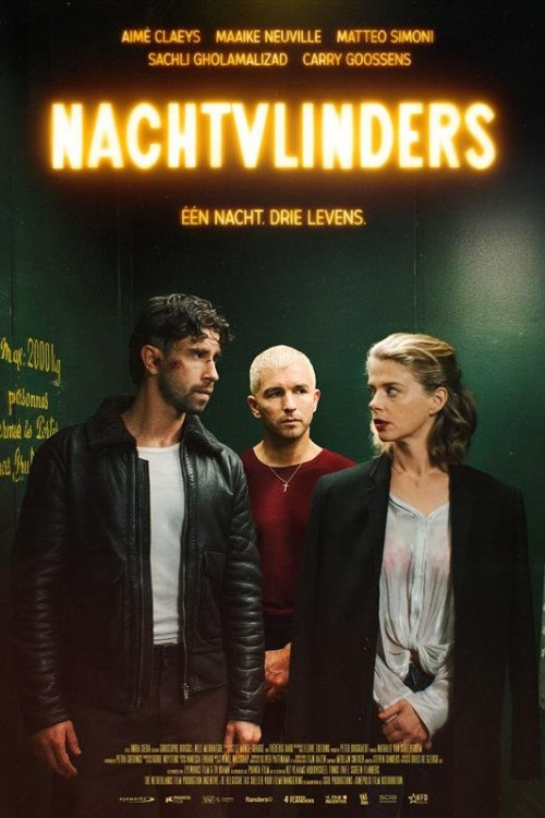 Nachtvlinders